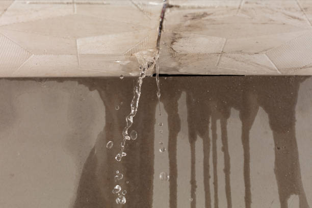 Professional Flood Damage Cleanup technician working in Kenansville, FL